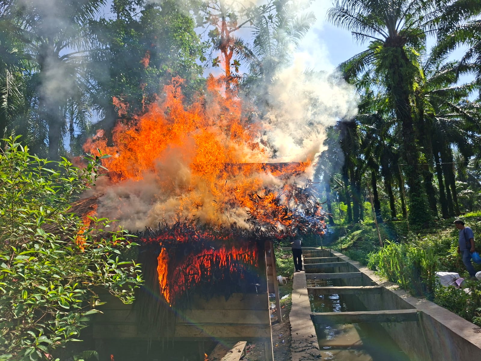 Keterangan gambar: Gubuk lokasi  penangkapan dan terduga pelaku penyalahgunaan Narkotika yang diamankan Polisi